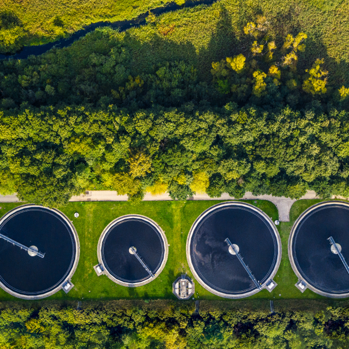 Waste water fields